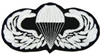 VIEW Basic Parachutist Wings Patch