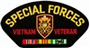 VIEW Special Forces MACV Vietnam Veteran Patch