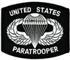 VIEW Paratrooper Patch