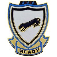 VIEW 505th PIR Lapel Pin