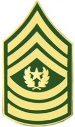 VIEW US Army E9 Command Sergeant Major Rank Pin