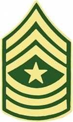 VIEW US Army E9 Sergeant Major Rank Pin