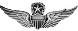 VIEW US Army Master Aviator Wings