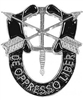 VIEW Special Forces Badge