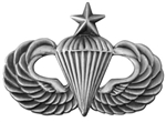 VIEW Senior Parachutist Lapel Pin