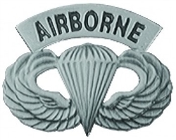 VIEW Airborne Wings Lapel Pin
