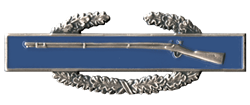 VIEW Combat Infantry Badge Pin