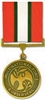 VIEW Multinational Force and Observers Medal