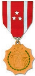 VIEW Philippine Defense Medal