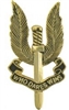 VIEW Special Air Service Lapel Pin