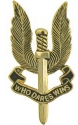 VIEW Special Air Service Lapel Pin