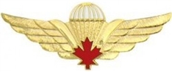 VIEW Canadian Paratrooper Jump Wings