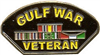 VIEW Gulf War Veteran Lapel Pin