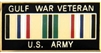 VIEW US Army Gulf War Veteran Lapel Pin