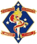 VIEW 1st Bn, 4th Marines Lapel Pin