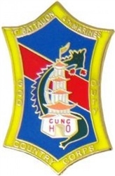 â–ªï¸<!0>1st Marine Division, 1st Battalion, 4th Marines Lapel Pin (1")
