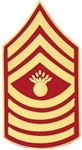 VIEW USMC E9 Master Gunnery Sergeant Rank Pin