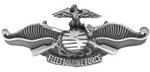 VIEW USMC Fleet Marine Force Device