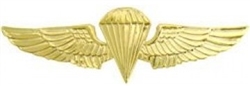 VIEW USMC Parachutist Wings Lapel Pin