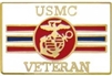 VIEW USMC Veteran Lapel Pin