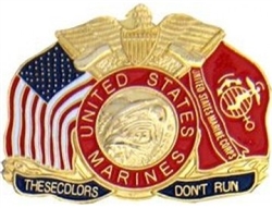 VIEW These Colors Don't Run Lapel Pin