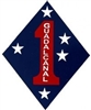 VIEW 1st Marine Division Magnet