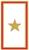VIEW Gold Star Banner Lapel Pin