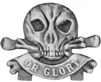 VIEW Death Or Glory Lapel Pin