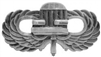 VIEW Chairborne Badge