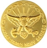 VIEW US Navy Retired 30 Years Gold Lapel Pin