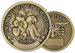 VIEW SEAL Challenge Coin
