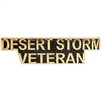 VIEW DESERT STORM VETERAN Lapel Pin