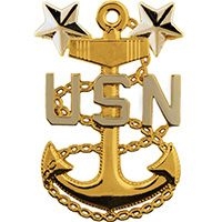 VIEW USN MCPO E-9 Rank Pin