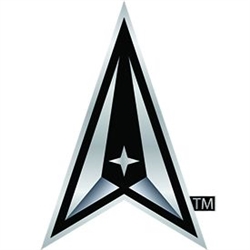 VIEW US Space Force Lapel Pin