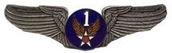 VIEW USAF 1st AF Wings