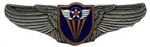VIEW USAF 4th AF Wings