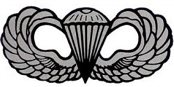 VIEW Basic Parachutist Badge Window Decal