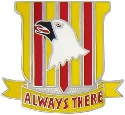 VIEW 101st AB Supt Bn Hat Pin