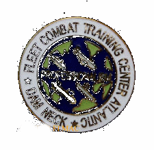 VIEW Dam Neck Lapel Pin