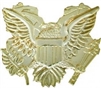 VIEW US Eagle Lapel Pin
