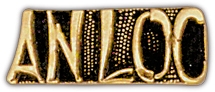 VIEW AN LOC Lapel Pin