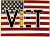 VIEW Viegtnam Vet/US Flag Lapel Pin