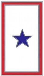 VIEW Blue Star Service Banner Lapel Pin