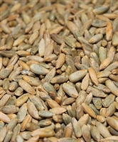 Organic Rye (kernels)