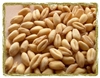 Organic Soft White Wheat (kernels)