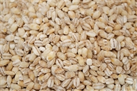 Organic Barley (sproutable)