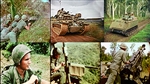 Photos of the US army from the Vietnam War: