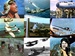 Still photos taken from the more than 150 films in Zeno's Complete World War 2 Warbird Video Collection.