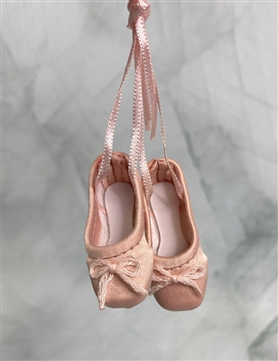 Li'l Dreamer Shoes - Ballet