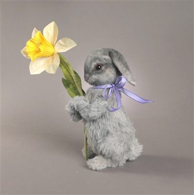 R John Wright - Daffodil